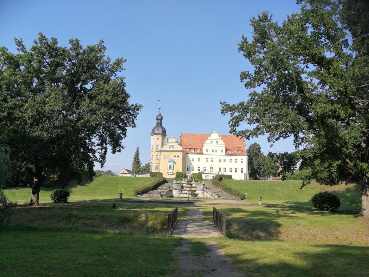 Pension Schlossblick Thallwitz Extérieur photo